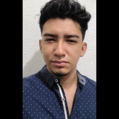Luis Fernando Pineda Rivas